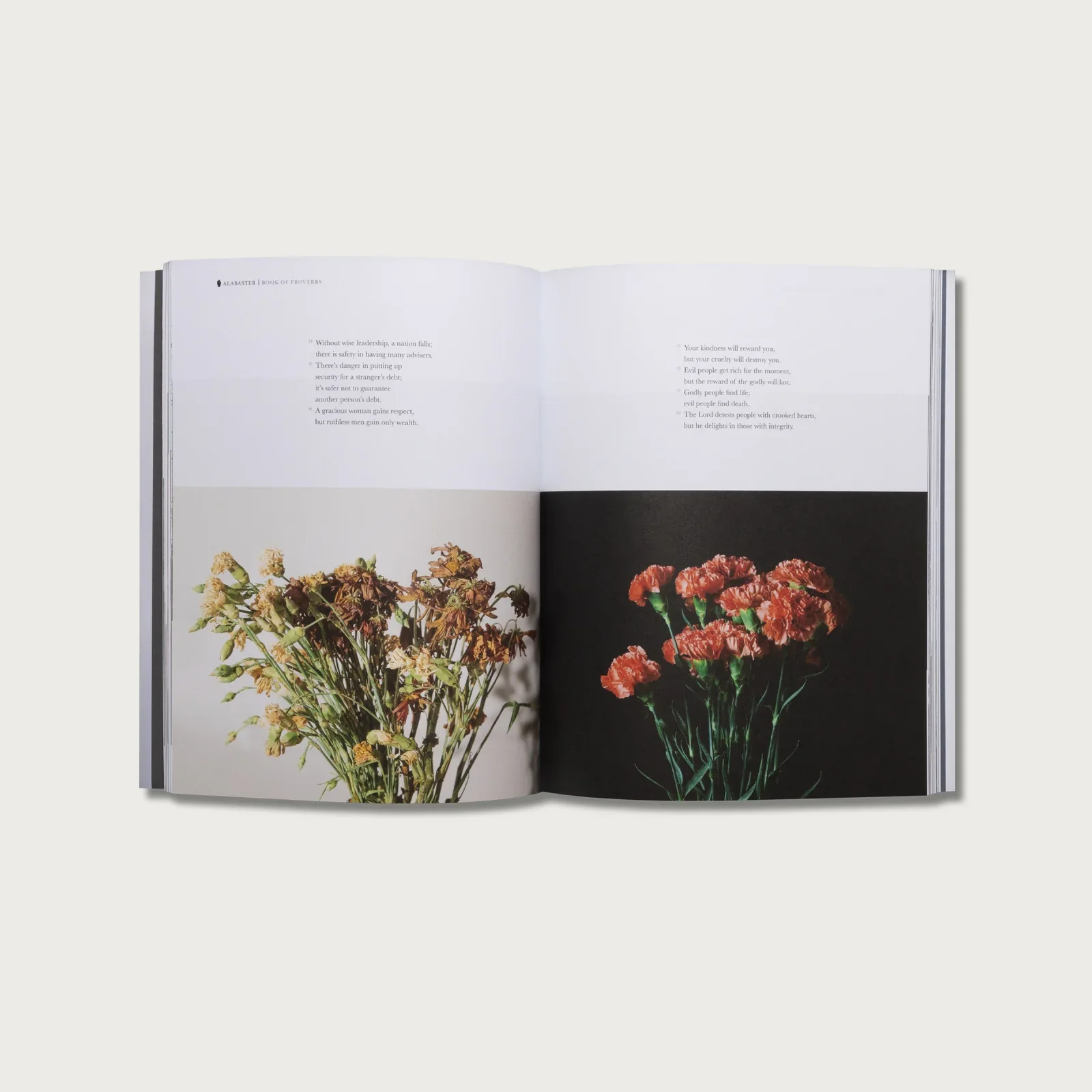 Alabaster // The Book of Proverbs - Image 4