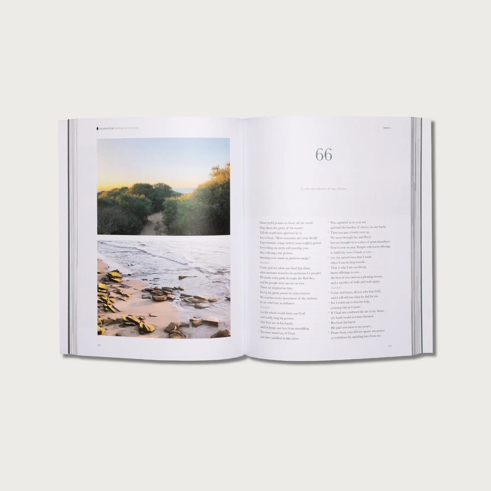 Alabaster // The Book of Psalms - Image 3