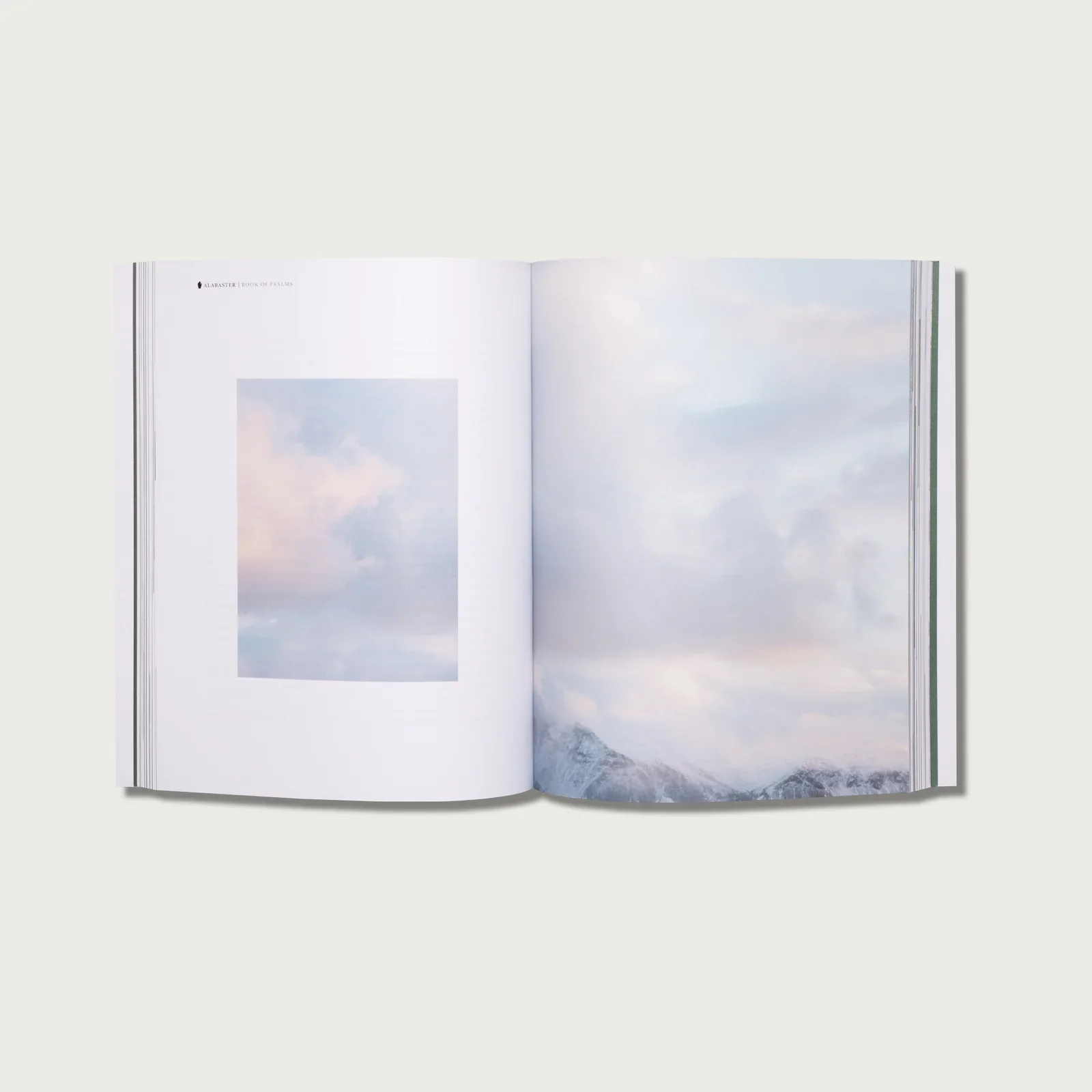 Alabaster // The Book of Psalms - Image 5