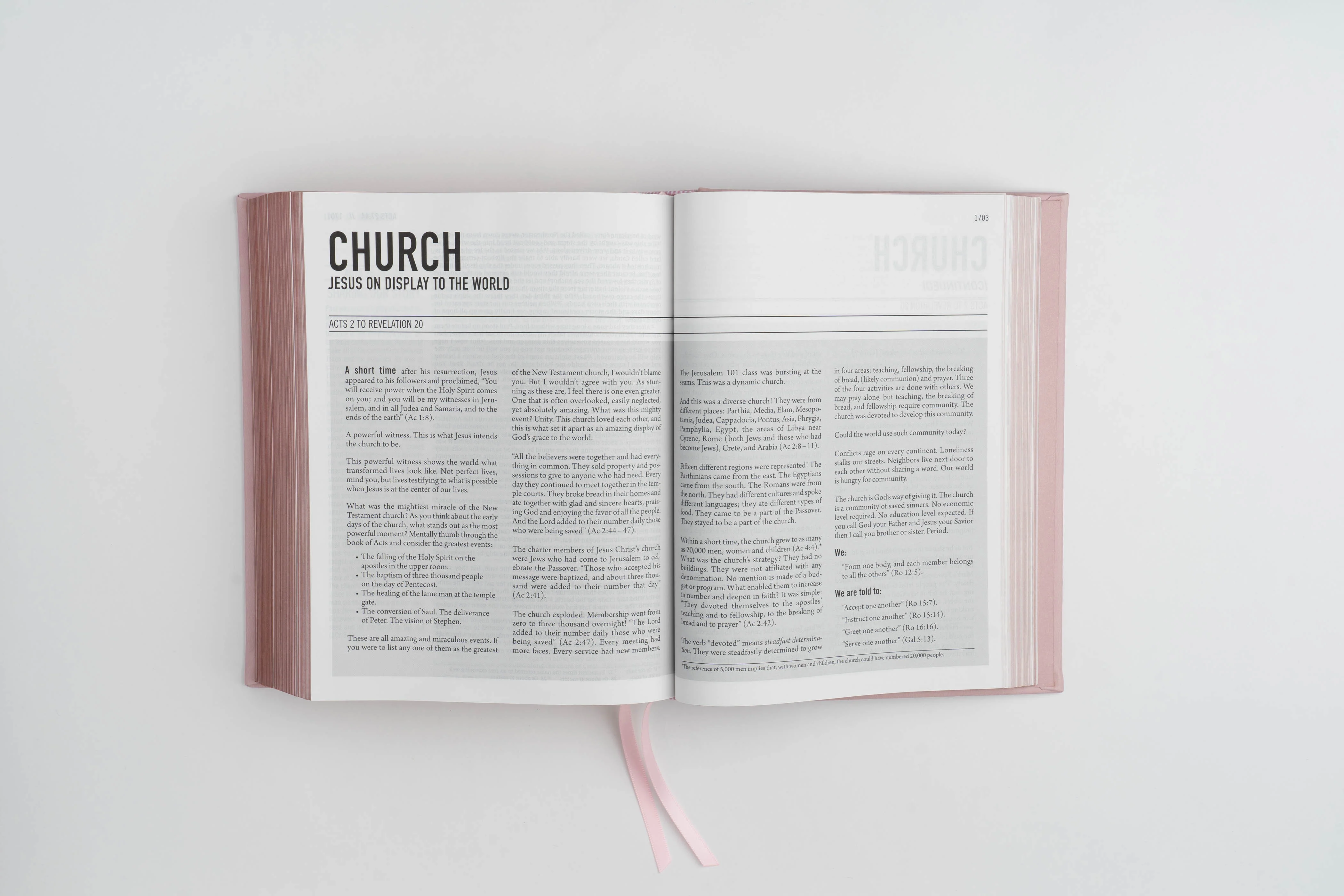 The Jesus Bible - NIV - Pink Leathersoft - Image 6