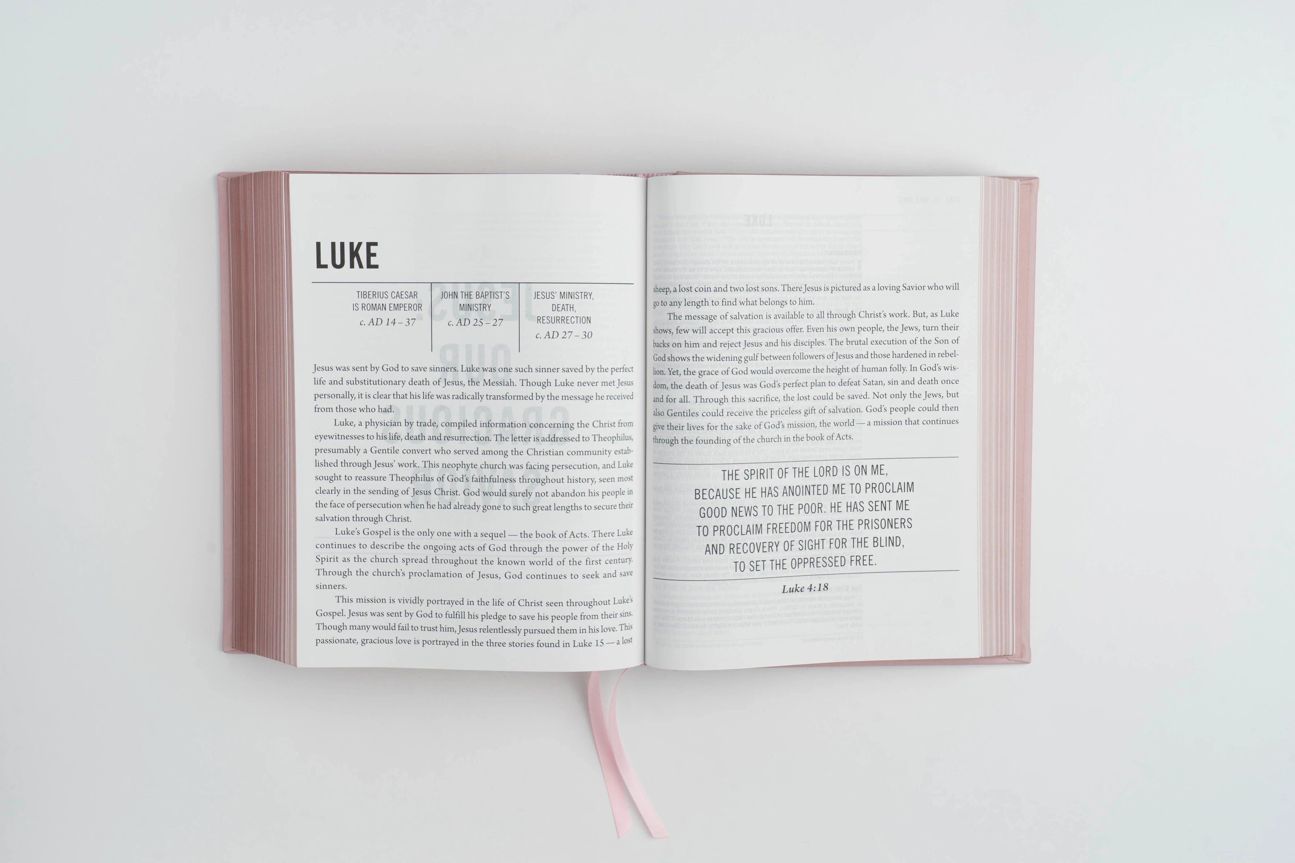 The Jesus Bible - NIV - Pink Leathersoft - Image 7