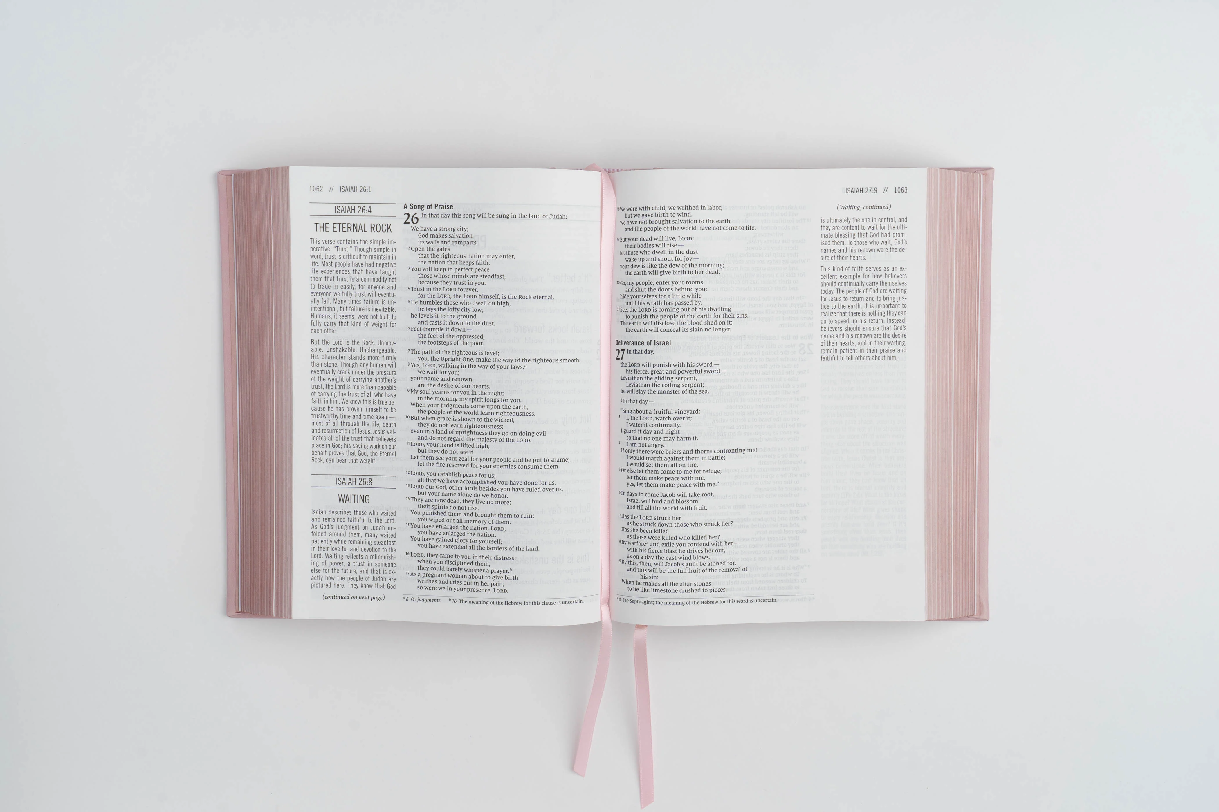 The Jesus Bible - NIV - Pink Leathersoft - Image 8